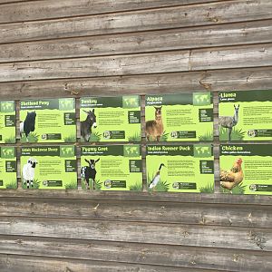 Pets farm- Some of the species held there