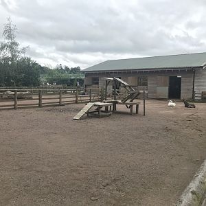 Pets farm- Hard standing enclosure (4)