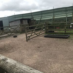 Pets farm- Hard standing enclosure (5)