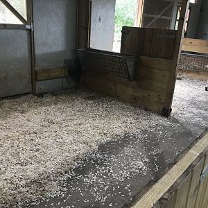 Pets farm- Animal indoors (2)