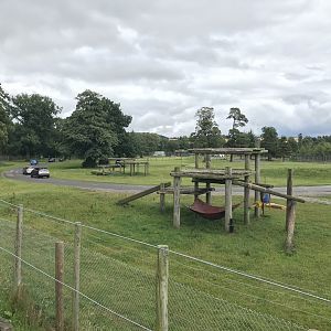 African lion reserve