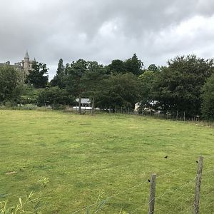 Giraffe and Grant’s zebra enclosure (2)