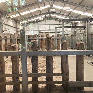 White rhino sleeping quarters