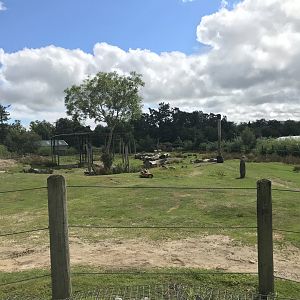 African elephant enclosure (2)