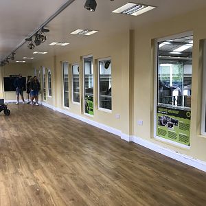 African elephant indoor viewing area