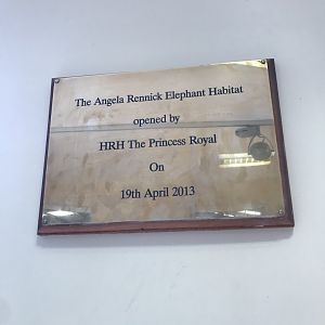 African elephant house opening date