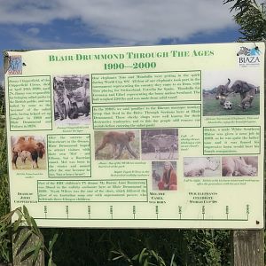 Zoo history timeline 1990-2000 signage