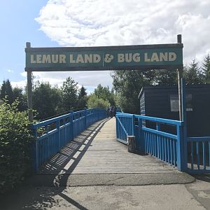 Lemurland- entrance bridge
