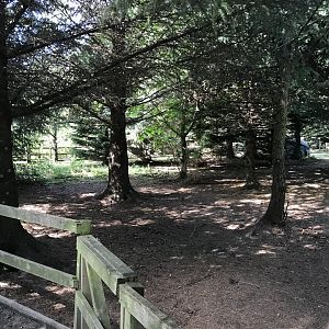 Lemurland- Ring-tailed & brown lemur enclosure