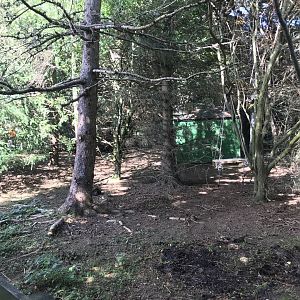 Lemurland- Ring-tailed lemur & brown lemur enclosure (3)