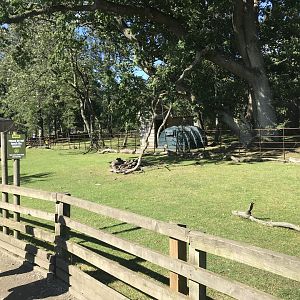 Lemurland- African spurred tortoise enclosure (2)