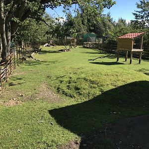 Lemurland- African spurred tortoise enclosure (3)