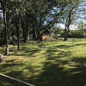 Lemurland- Somalian goat enclosure