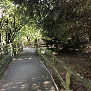 Lemurland- Ring tailed & brown lemur enclosure (4)