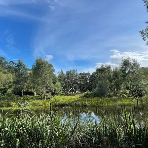 Chimpanzee enclosure