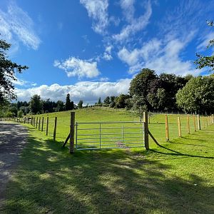 Highland cow enclosure