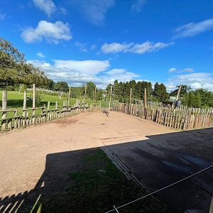 Giraffe hard standing area