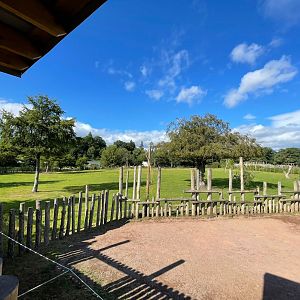 Giraffe and grant’s zebra enclosure