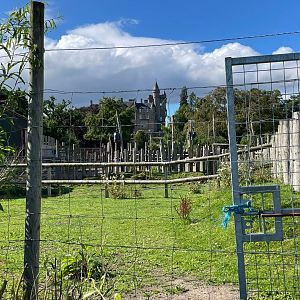 Ostrich enclosure (in the background)