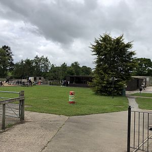 The General View Upon Entry at Lake District Wildlife Park (May 2019)