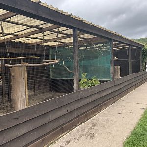 Aviaries at Lake District Wildlife Park (May 2019)