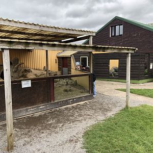 Meerkat & Mongoose Enclosures at Lake District Wildlife Park (May 2019)