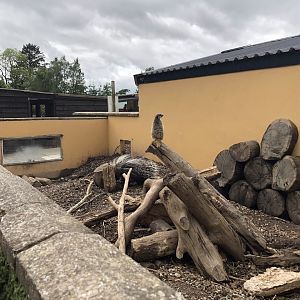 Meerkat & Porcupine Enclosure at Lake District Wildlife Park (May 2019)