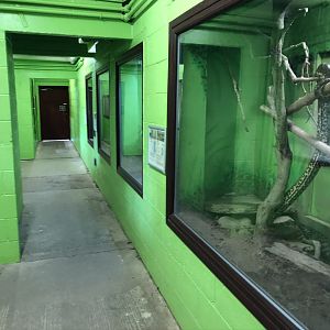 Inside the Reptile House at Lake District Wildlife Park (May 2019)