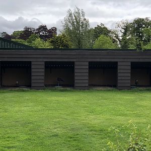Birds of Prey Mews at Lake District Wildlife Park (May 2019)