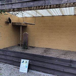 Striated Caracara Aviary at Lake District Wildlife Park (May 2019)