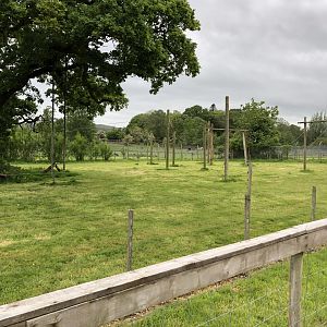 Lar Gibbon Enclosure at Lake District Wildlife Park (May 2019)