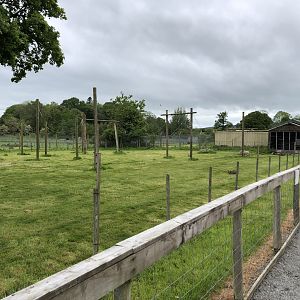 Lar Gibbon Enclosure at Lake District Wildlife Park (May 2019)