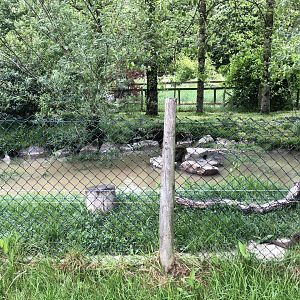 Asian Small-clawed Otter Enclosure at Lake District Wildlife Park (May 2019)