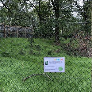 Scottish Wildcat Enclosure at Lake District Wildlife Park (May 2019)
