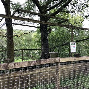 Eurasian Eagle-owl Aviary at Lake District Wildlife Park (May 2019)