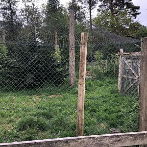 Eurasian Lynx Enclosure at Lake District Wildlife Park (May 2019)