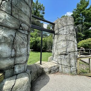 North American River Otter viewing gallery