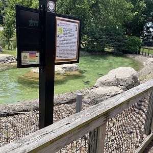 African Penguin habitat