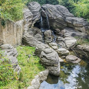 Right side of the asian small-clawed otter enclosure