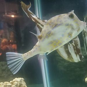 Save The Bay Aquarium (2022)