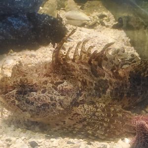 Save The Bay Aquarium (2022)