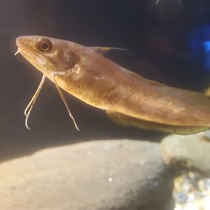 Save The Bay Aquarium (2022)