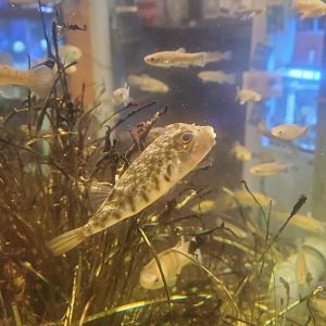 Save The Bay Aquarium (2022)