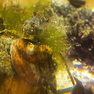 Save The Bay Aquarium (2022)