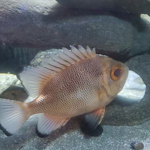 Save The Bay Aquarium (2022)