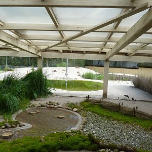 Dünenlandschaft aviary