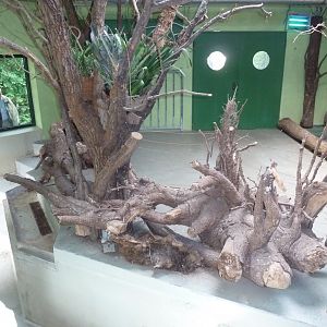 Tapirhaus - Main stable