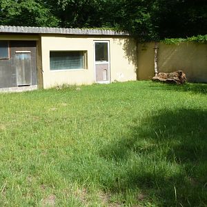Brazilian tapir enclosure - left-wing part