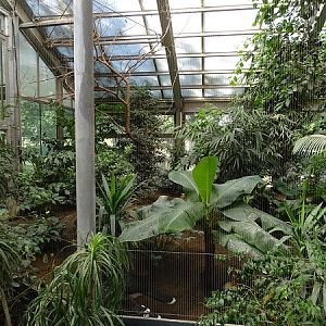 Bird House: South American aviary (07/22)