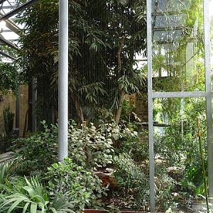 Bird House: Magascar crested ibis aviary (07/22)